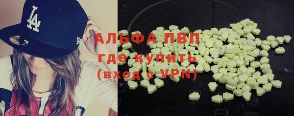 спиды Богородицк