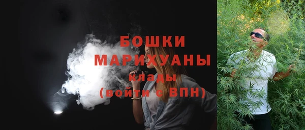 спиды Богородицк