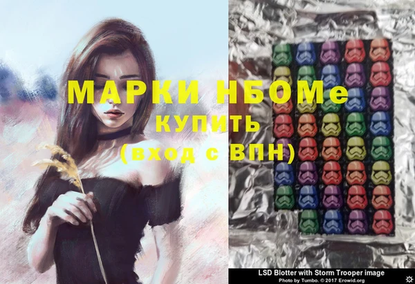 шишки Беломорск