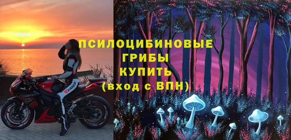 спиды Богородицк