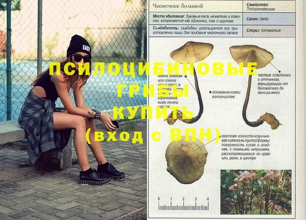 мескалин Богородск