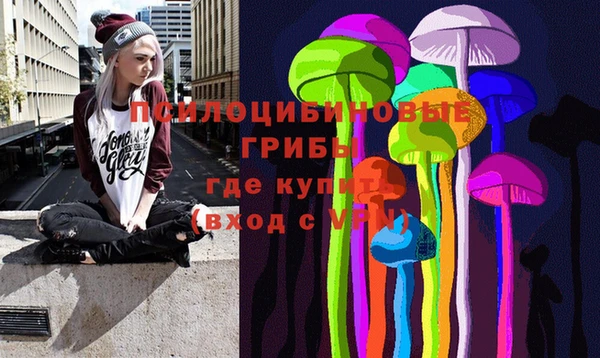 мдма Богданович