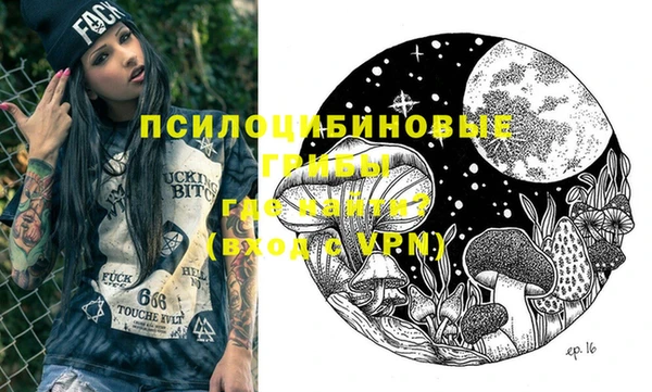 спиды Богородицк