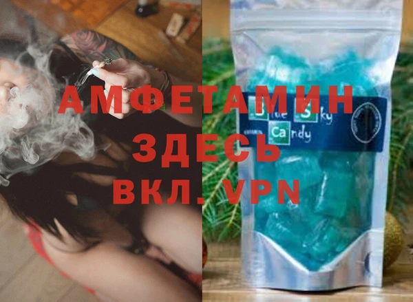 спиды Богородицк