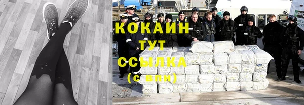 спиды Богородицк