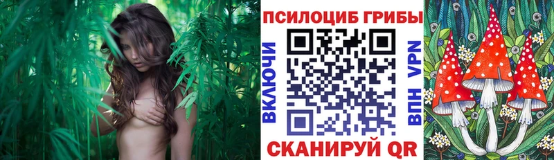 Галлюциногенные грибы прущие грибы  наркота  Мариинский Посад 